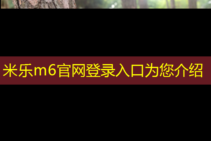 米乐：石嘴山塑胶跑道修补